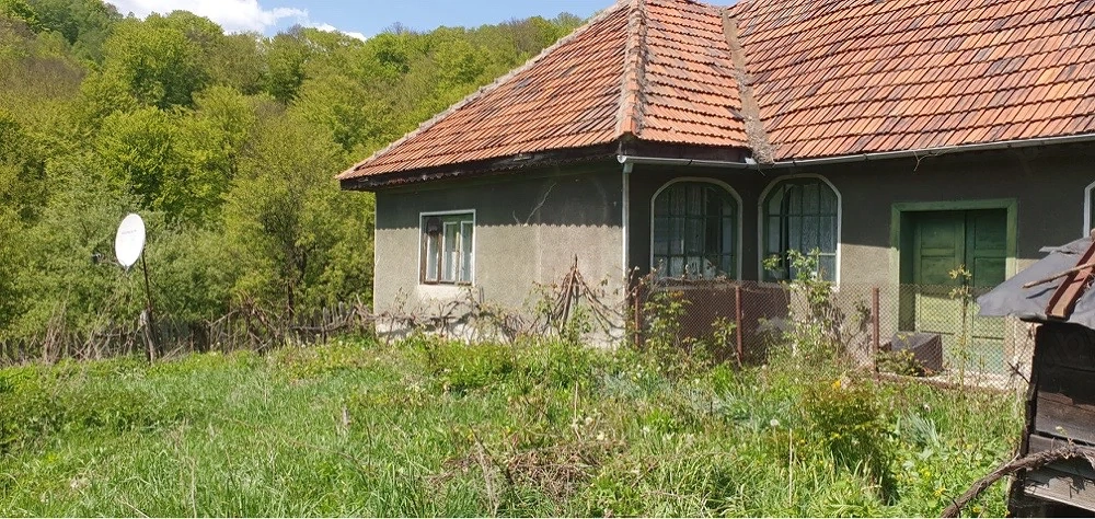 Casa si teren de vânzare
