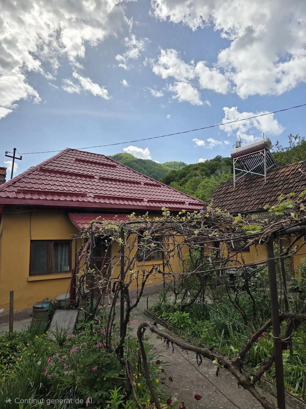 Vând casă și teren in Brezoi 