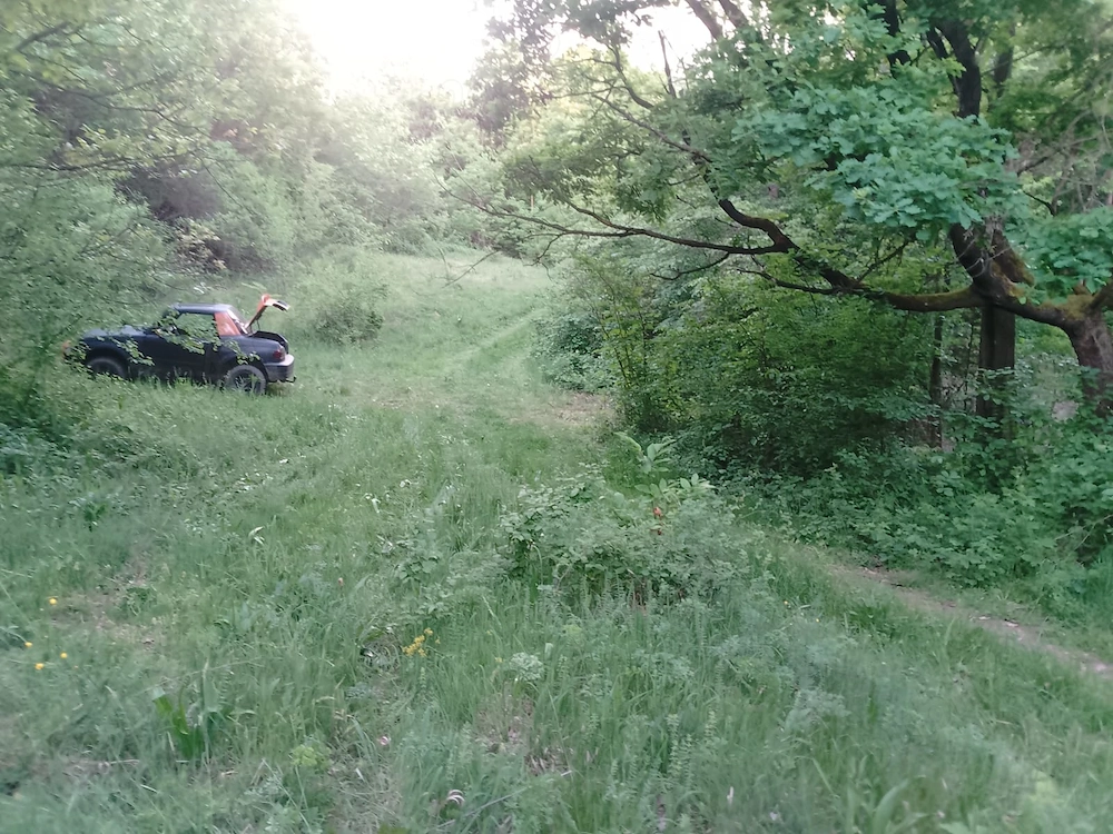 vand teren in   natura
