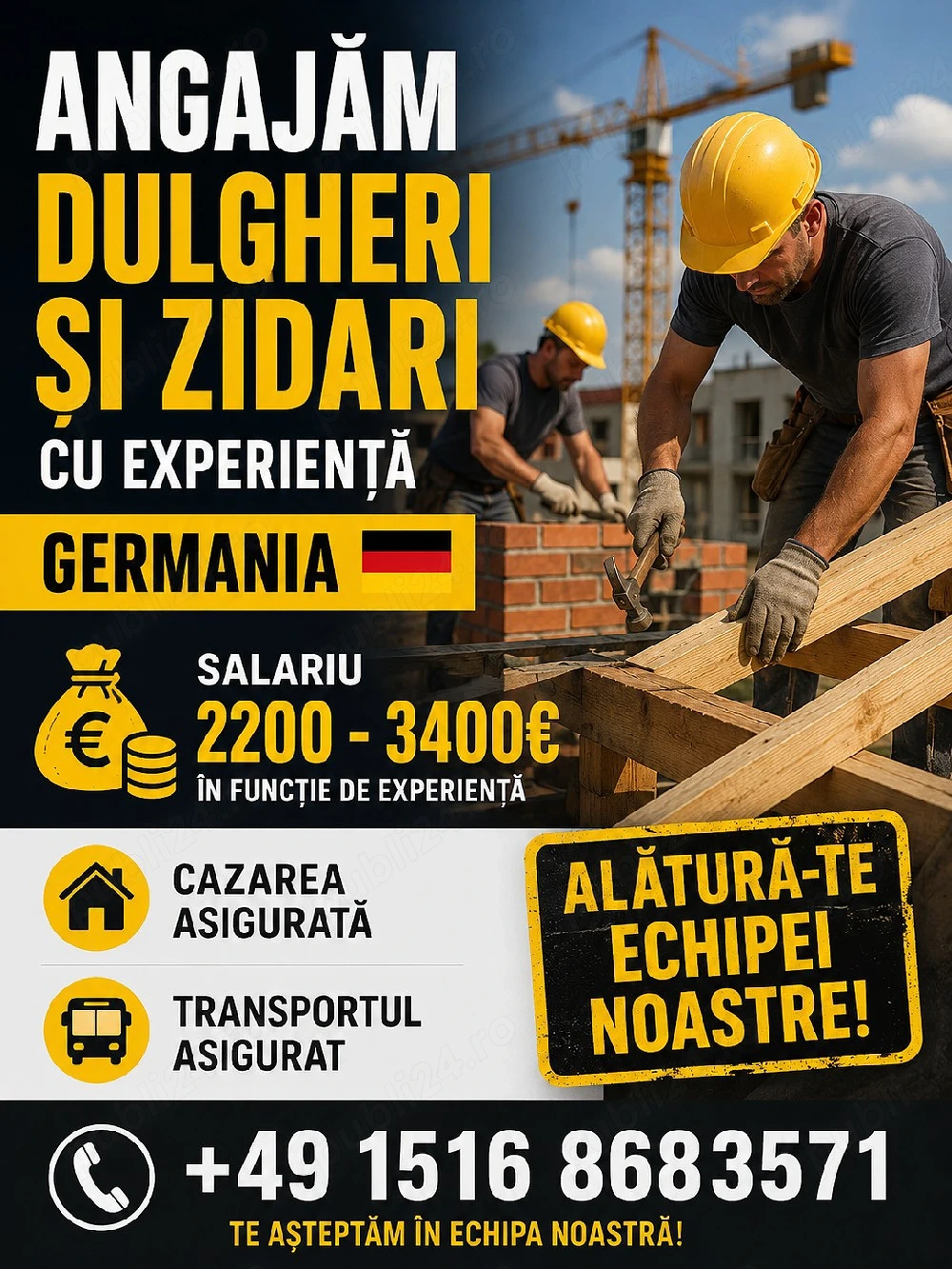 Angajez zidari si dulgheri Germania