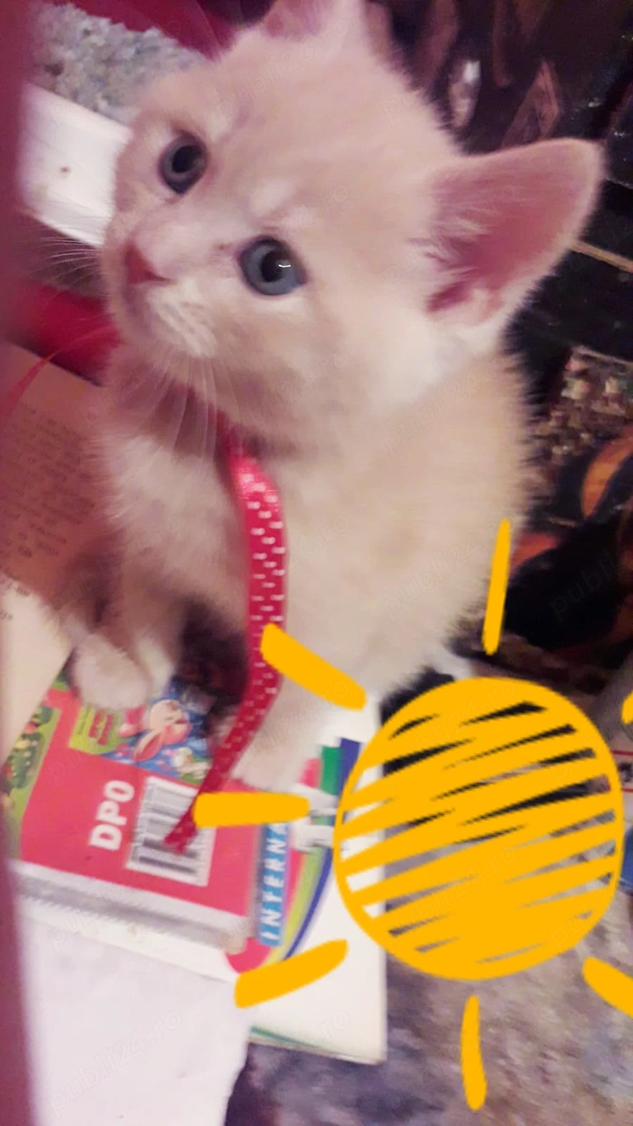 fetite si baietei capucino cream