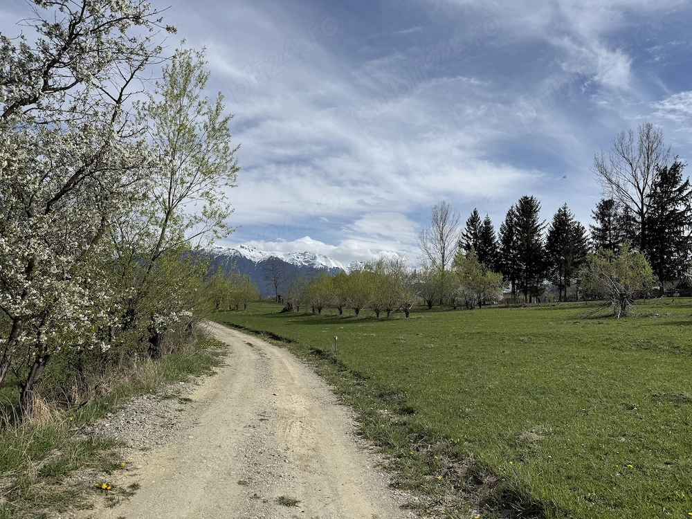 Teren intravilan intre 500 si 1000 mp cu vedere panoramica  in zona Bran Tohanita