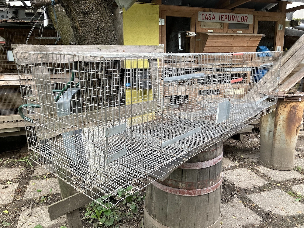 Vând urgent cușca iepuri 2 compartimente