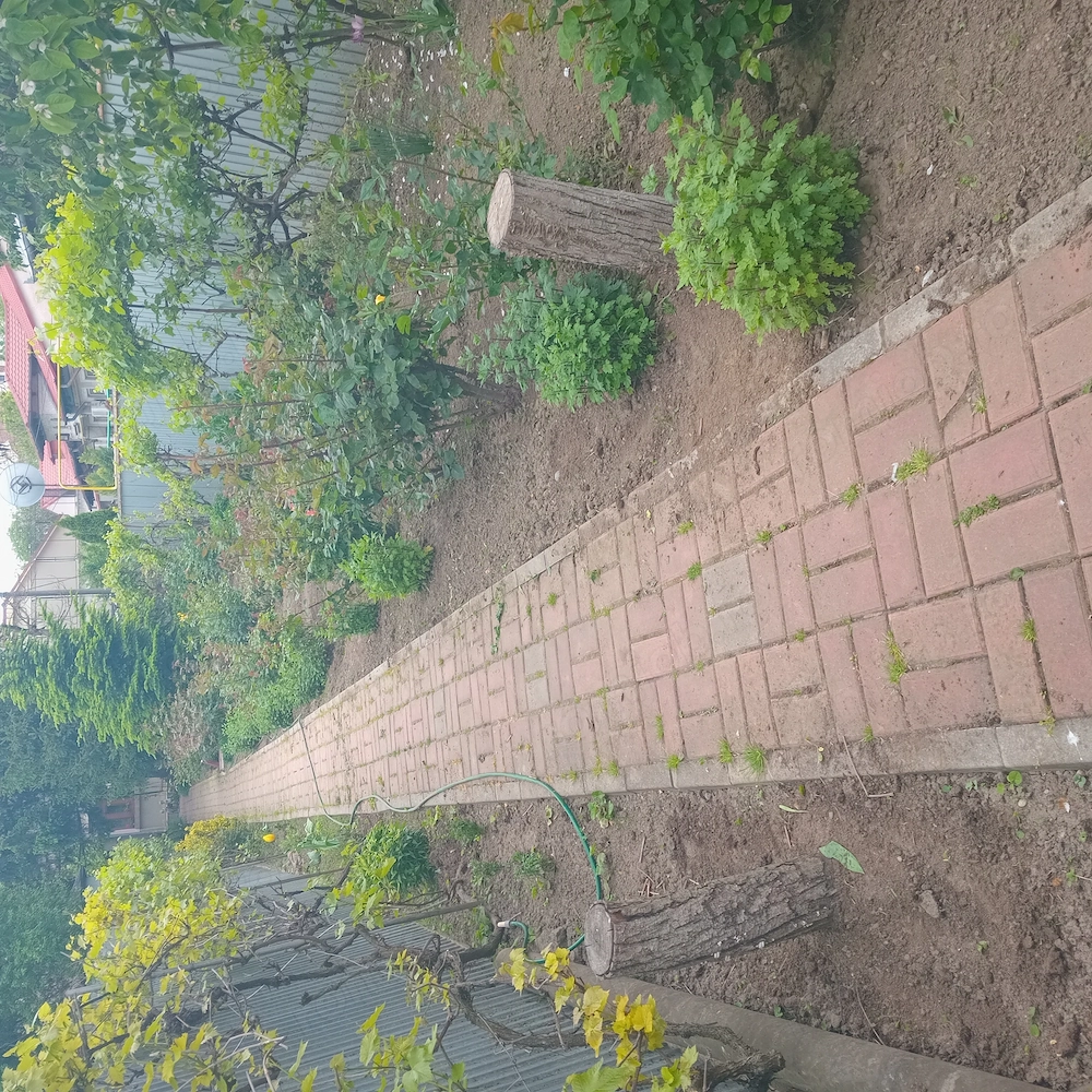 Amenajari Grădini ,curți,solarii,terenuri 
