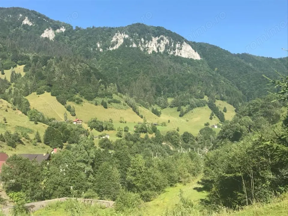Teren intravilan, 2694mp, râu, vedere spre munte, Satic