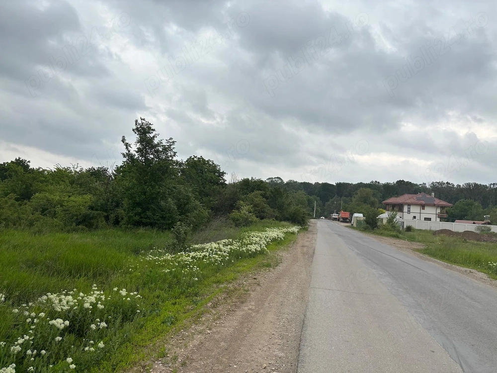 Teren 1000 mp în Mogoșoaia, la 5 minute de pădure