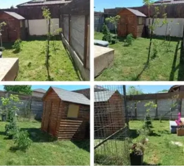 Duplex, stadion comuna  Berceni 