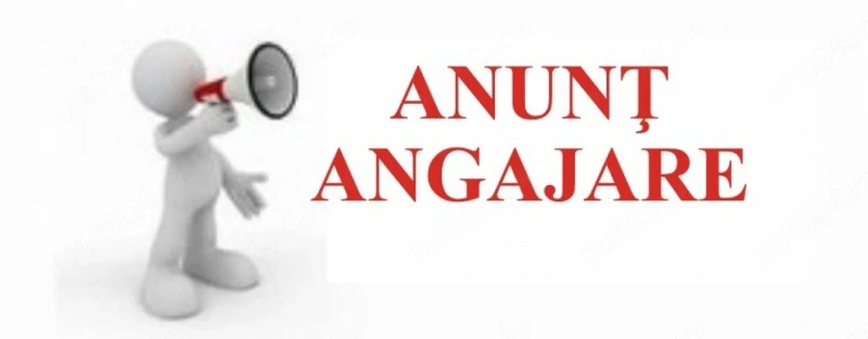 Angajăm tâmplar cu experienta si muncitor necalificat
