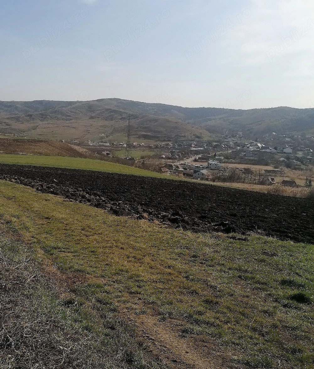 Vând 11600 mp. teren în Gadalin (Jucu) suprafață formata din 3 parcele-20 Eur mp neg. 