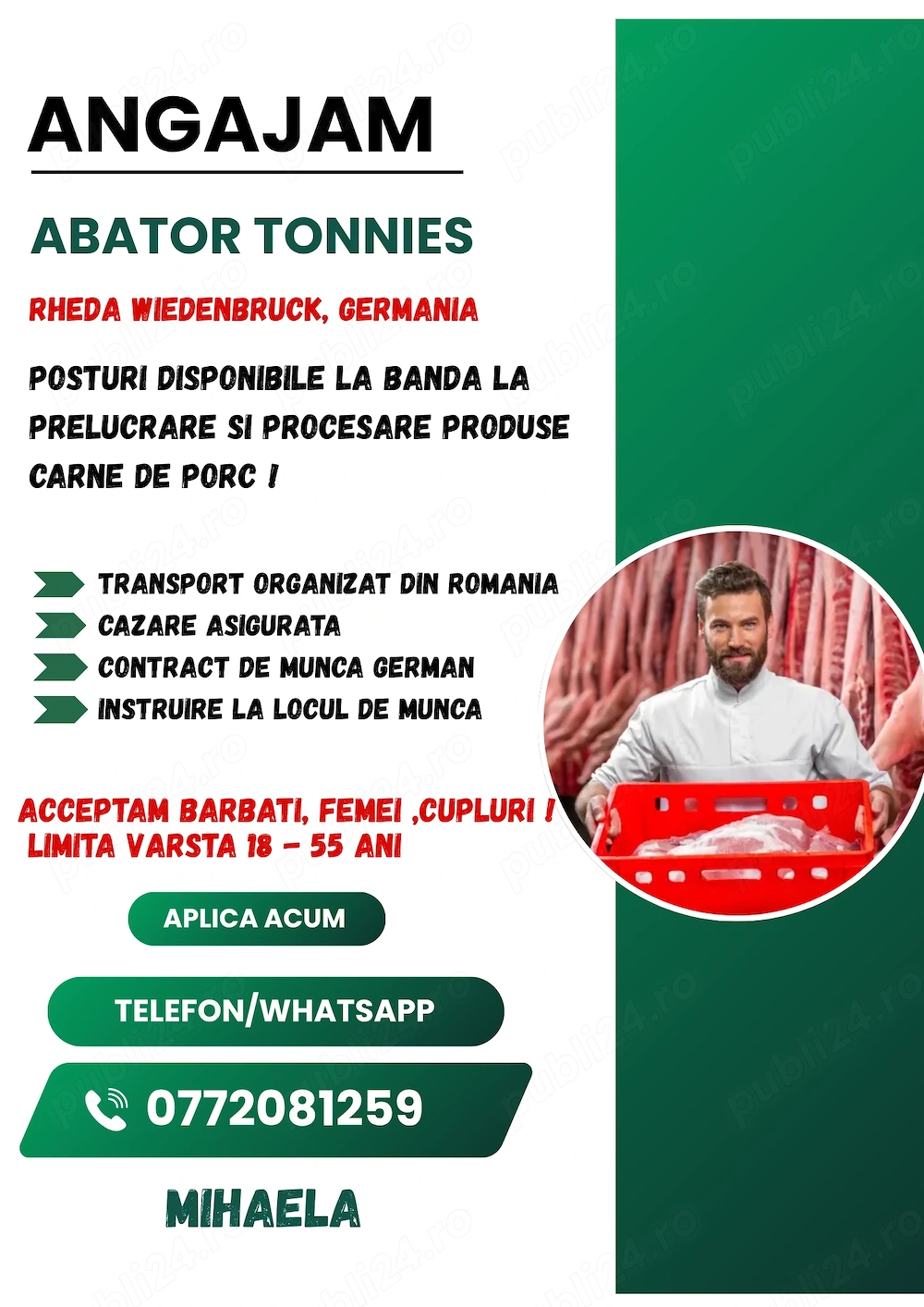 Locuri de munca ABATOR Germania