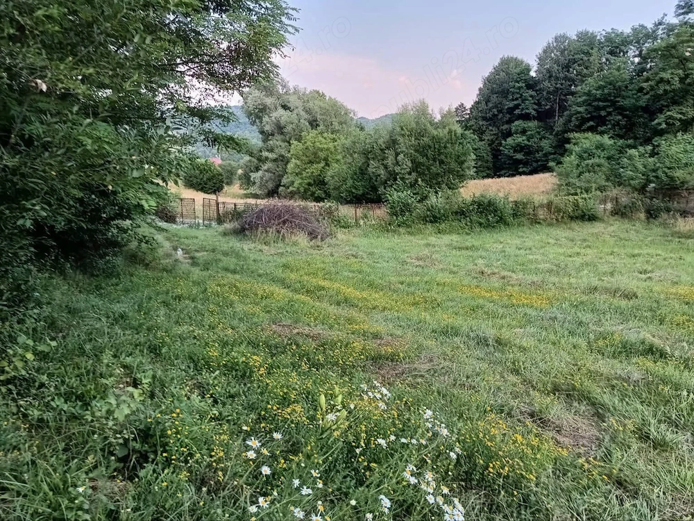 Teren intravilan cu izvor 
