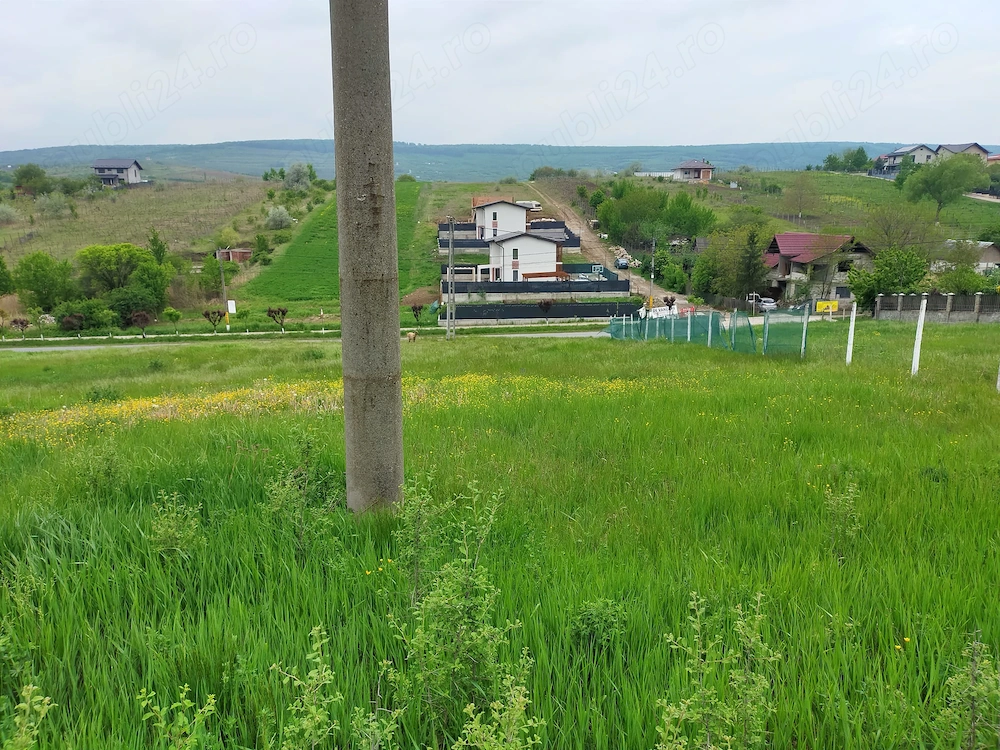 Teren intravilan Tomești 