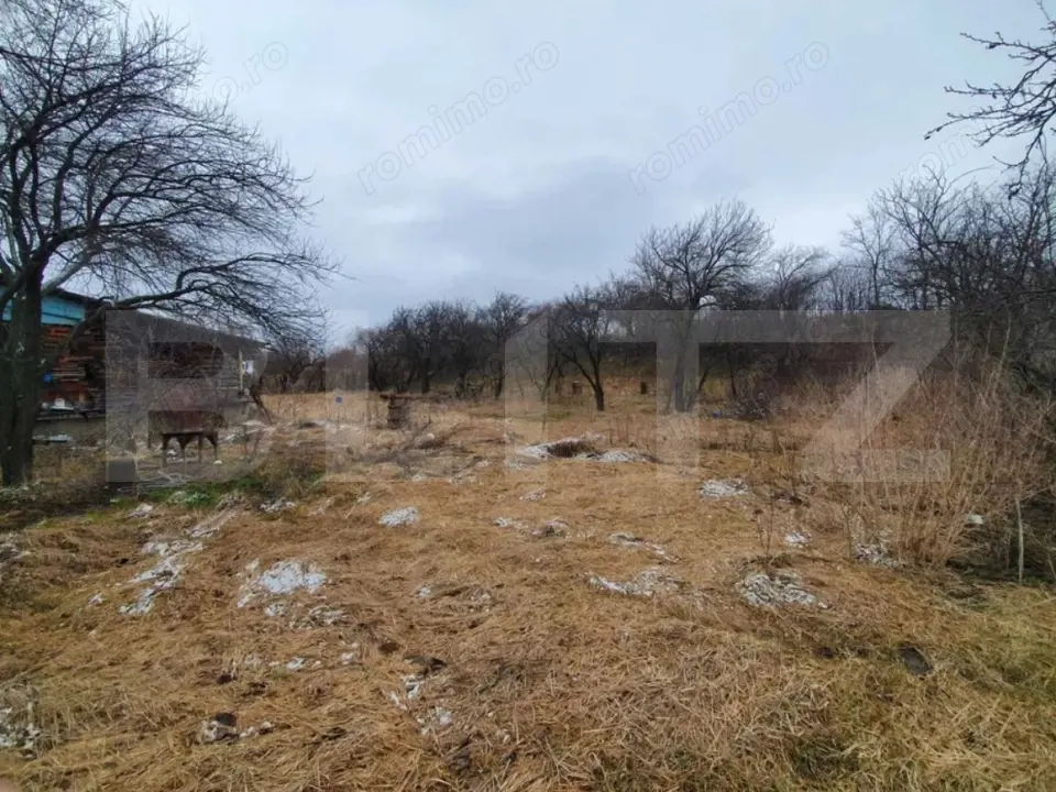 Casa cu teren generos în Ceanu Mic – 1.700 mp, la doar 20 km de Cluj-Napoca
