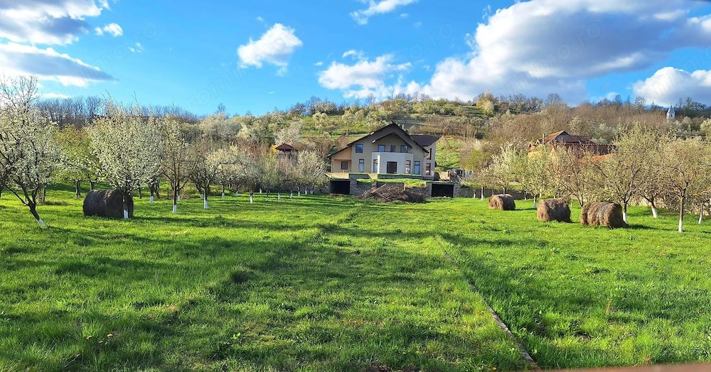  Proprietate deosebită cu vedere spectaculoasă spre Munții Retezat