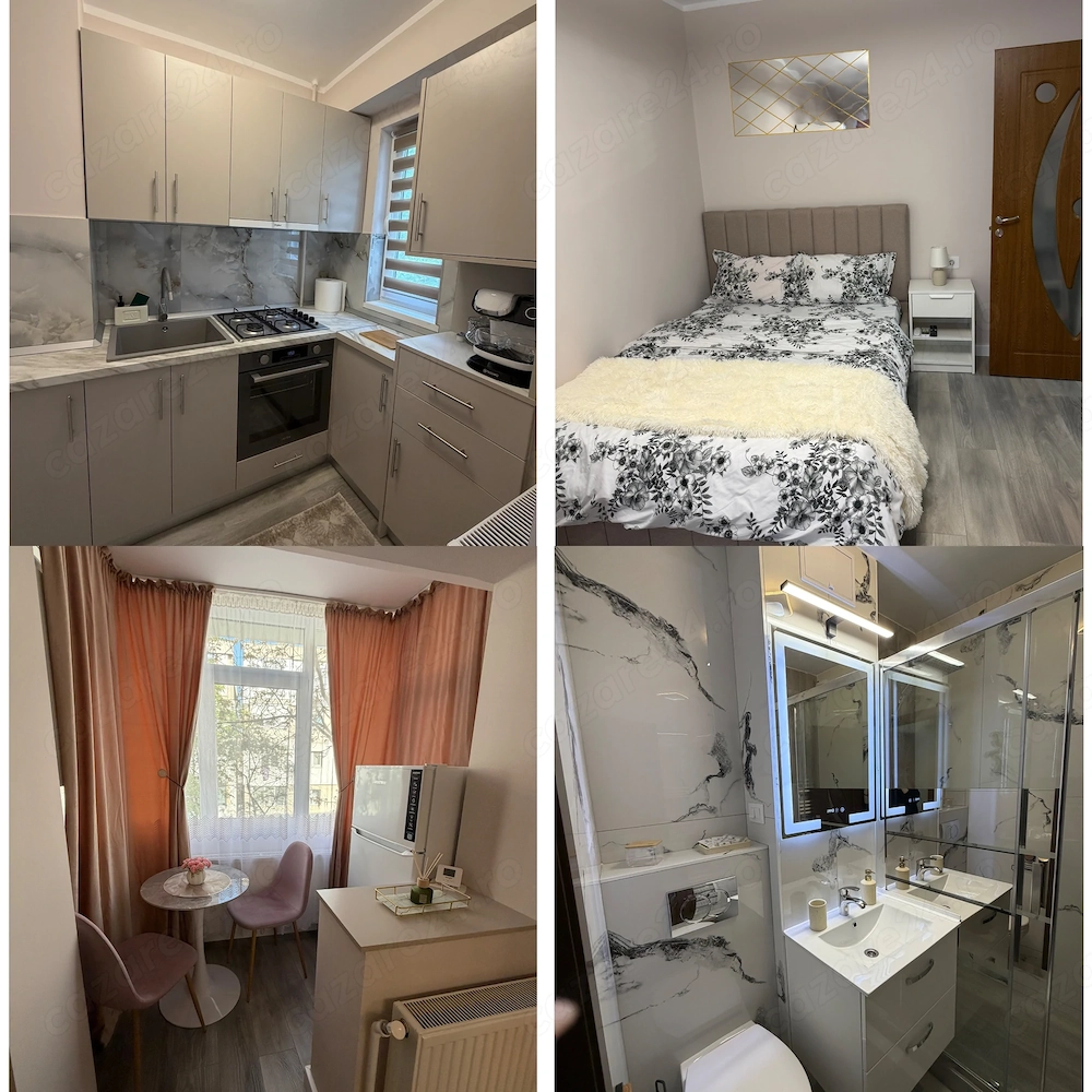 Apartament cu o cameră în regim hotelier