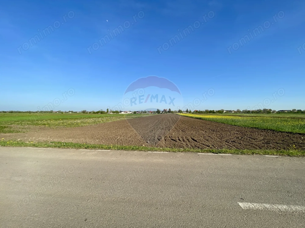 Teren Intravilan 6.220 mp | Strejnicu, Strada Livezilor