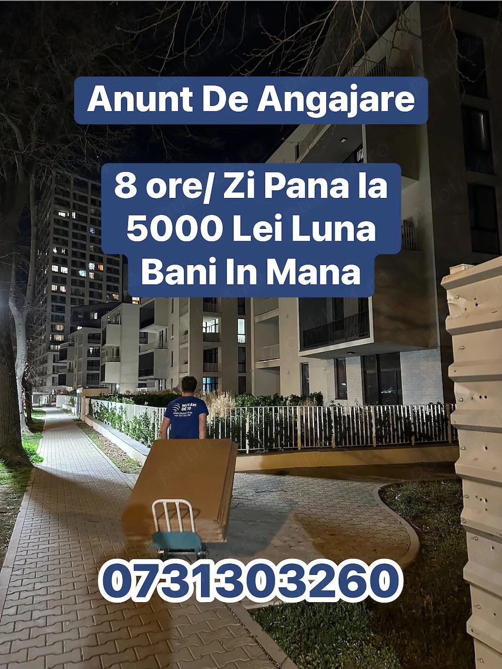 Anunț angajare Ajutor Mutări Mutări de 10 5000 Lei  luna