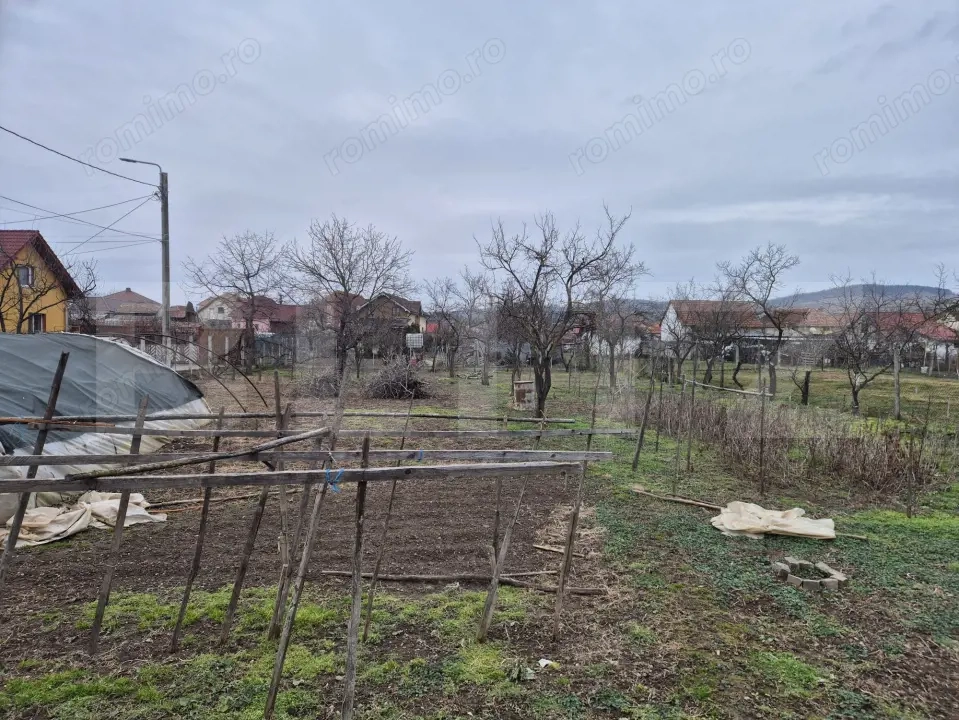 Teren 1651 mp cu casă și anexe – oportunitate investiție, zona Barabant