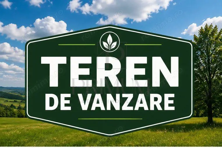 Teren - Chisoda - 2 Fronturi Stradale