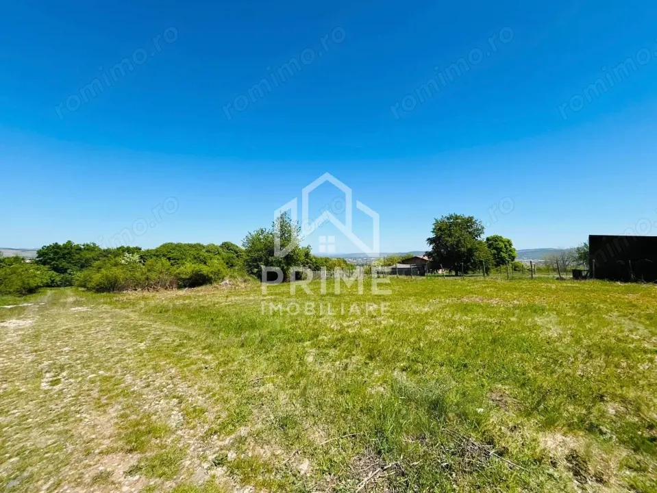 Teren intravilan pretabil pentru constructii, 1020 mp - zona Vii 