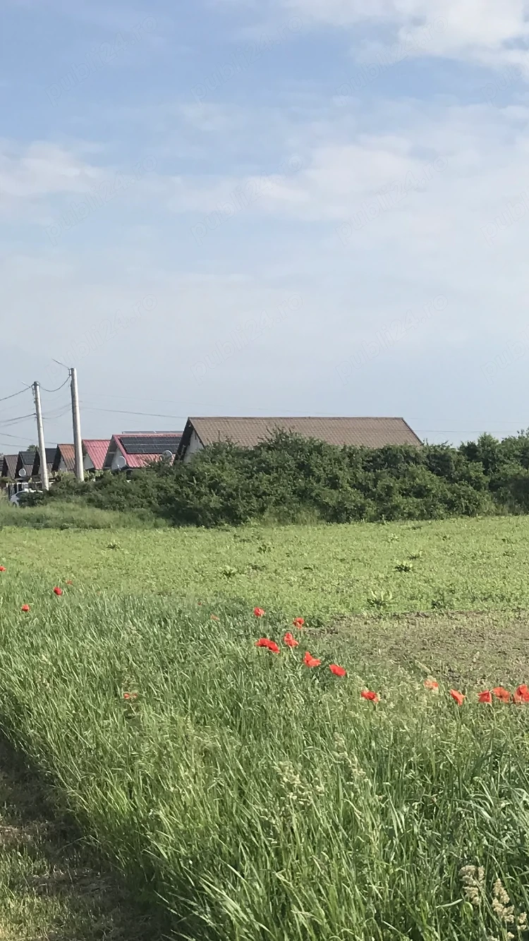 Proprietar vând 5800 mp teren pt construcții- Bucovat-Remetea Mare