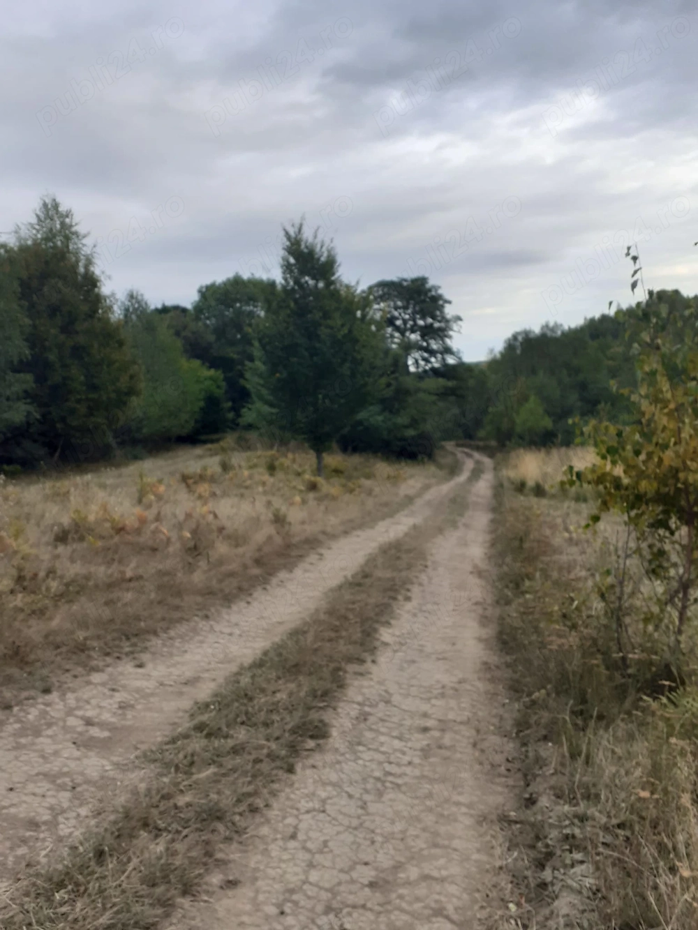 Vand teren extravilan Valea Doftanei, zona Crăițe în suprafață de 3.899 mp