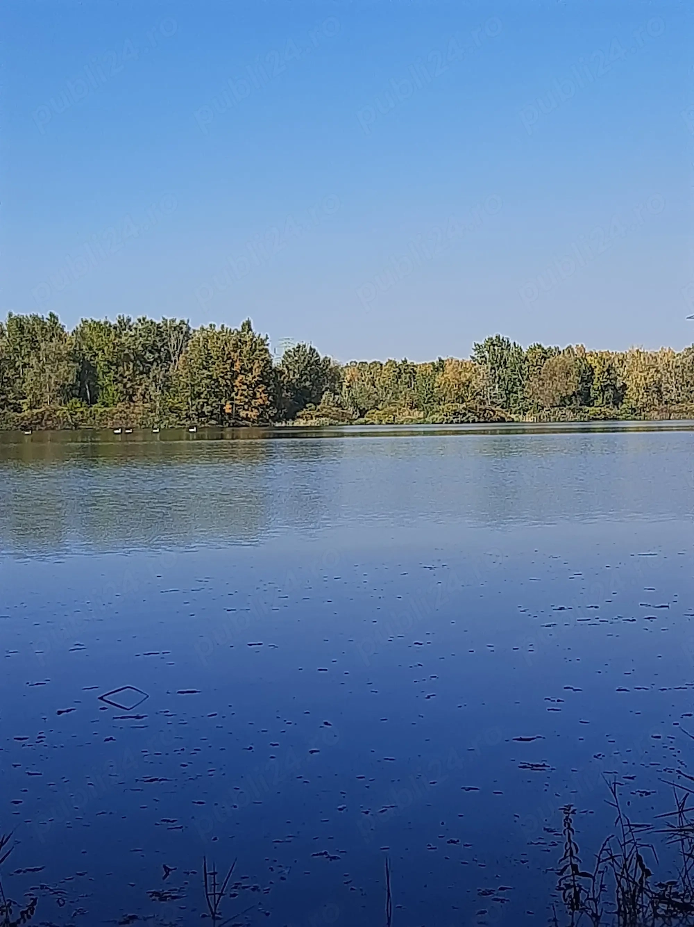 Teren și casa de vacanta cu iesire la lacul Milcov. 