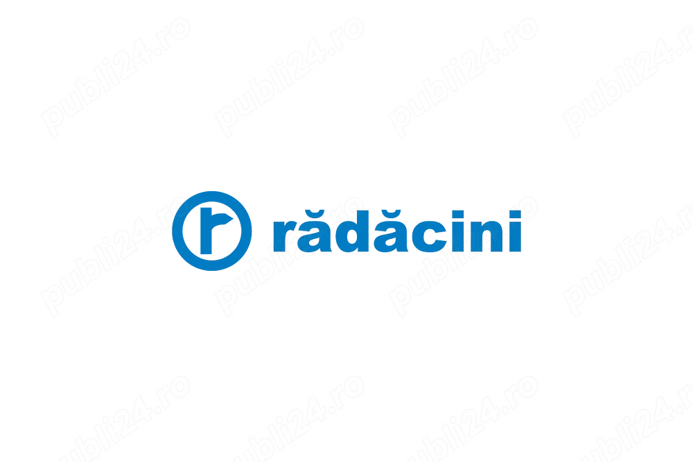  Vopsitor  Auto - Service Voluntari