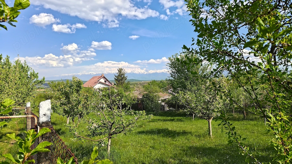 Teren intravilan 1000 mp in Sibiu Daia Noua