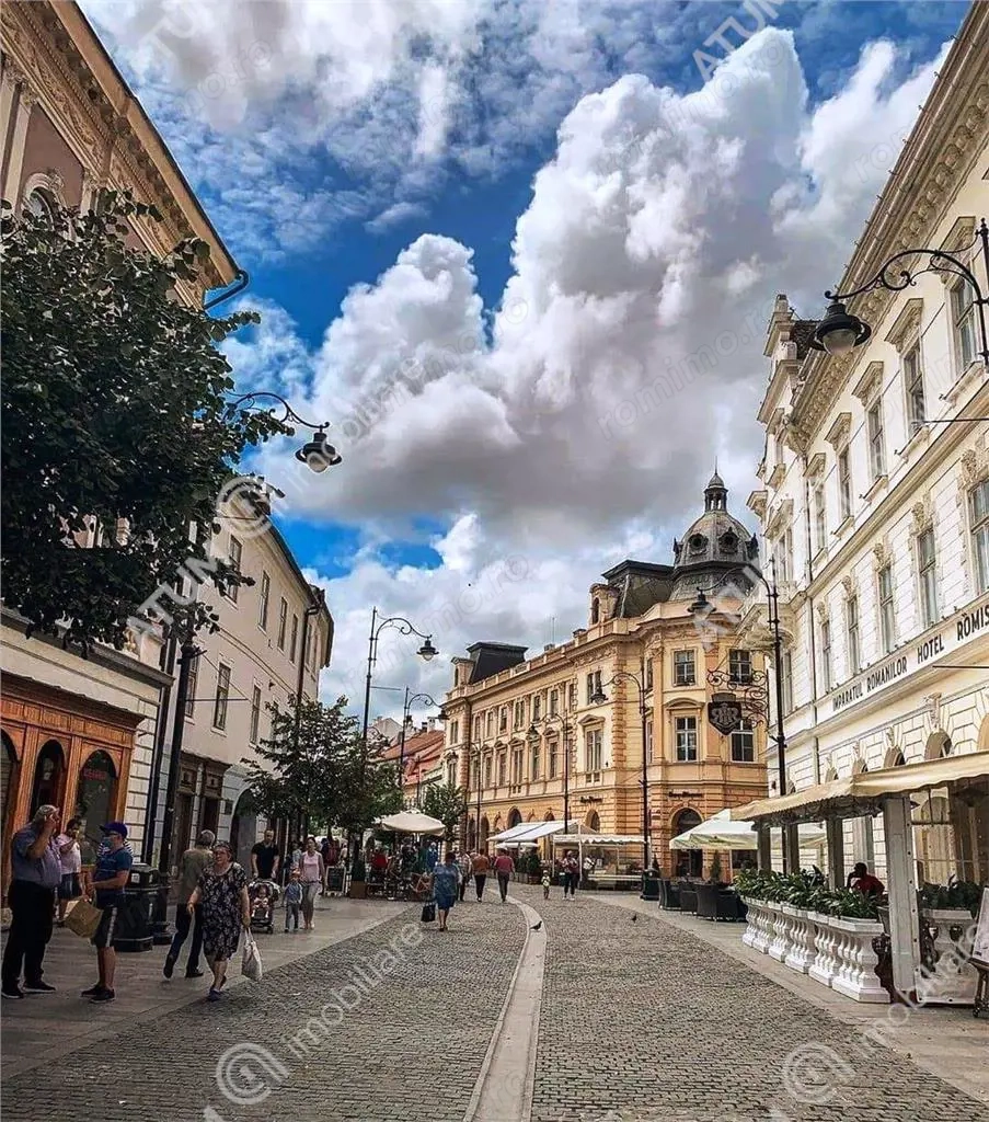 Spatiu pentru alimentatie publica si terasa zona Balcescu