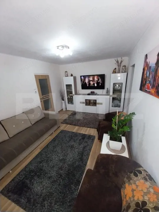 Apartament + garaj , 69 mp , Zona Careiului, 