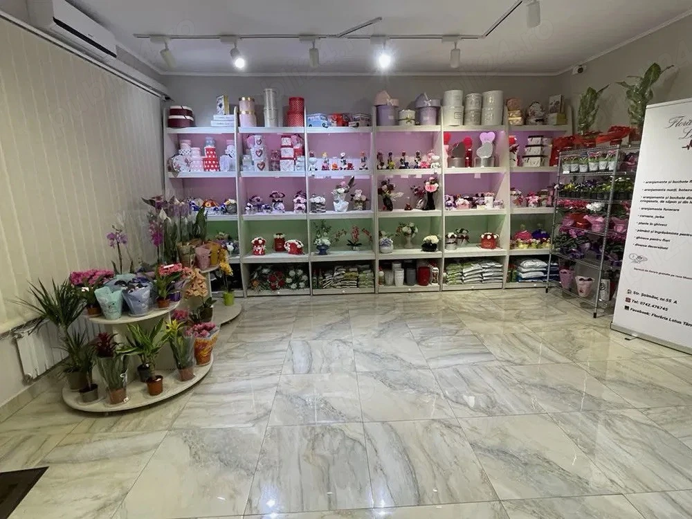 Vand spatiu comercial