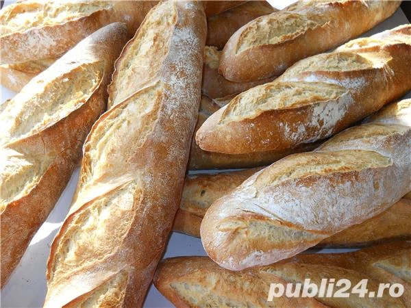 Angajam Muncitori necalificati pentru munci in Brutarie