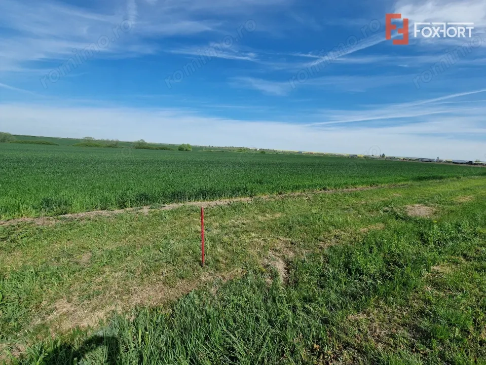 Teren extravilan de 9500 mp de vanzare in Remetea Mare
