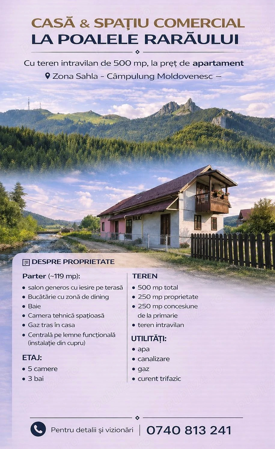 Casa si spatiu comercial