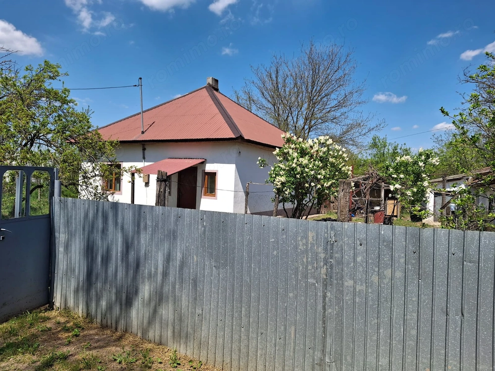 Vanzare casa 4 camere Tamadau Mare - Calarasi 