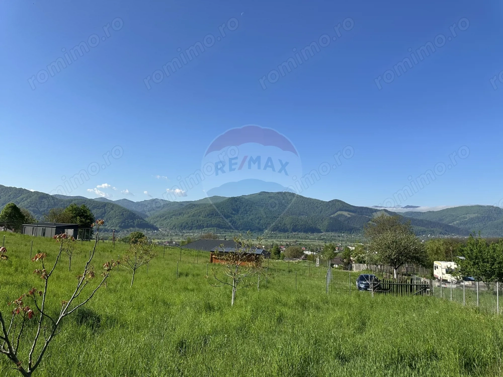 Teren Bistrita / Plopusor