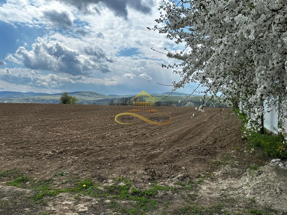 De vanzare doua loturi de teren in Fantanele-Bacau