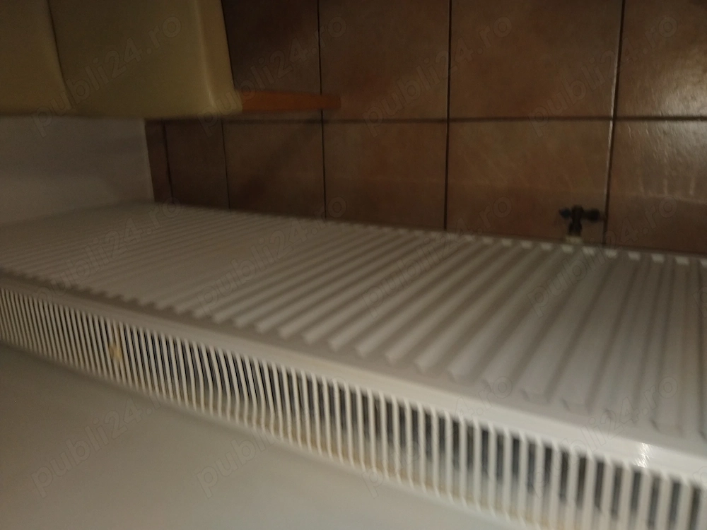 Termosemineu 25 kw