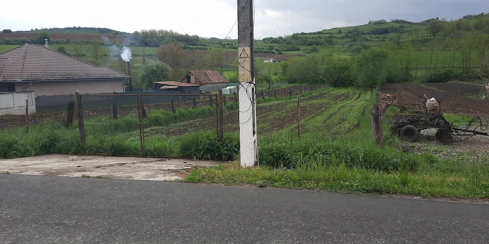 Vând teren în sat Șmig, com. Alma, Jud .Sibiu. 1625 mp.