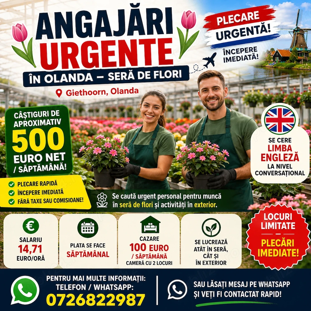 angajare in OLANDA   sera de flori 