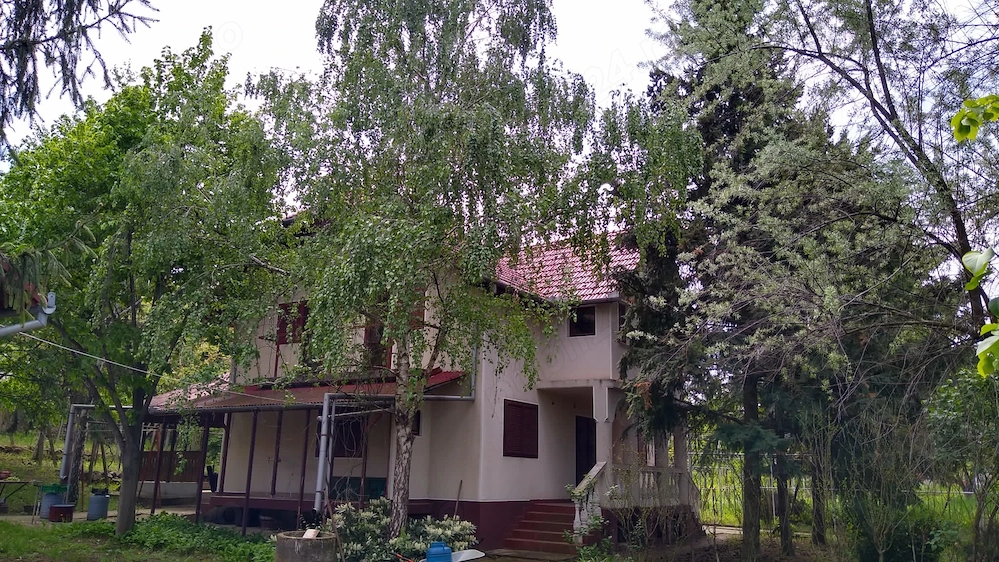 Vand casa in Cuvin com.Ghioroc jud.Arad
