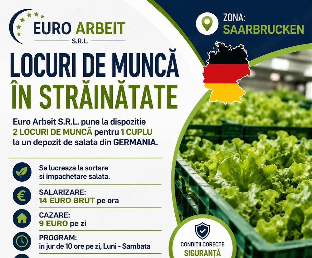 Angajjma urgent la ambalat salata 