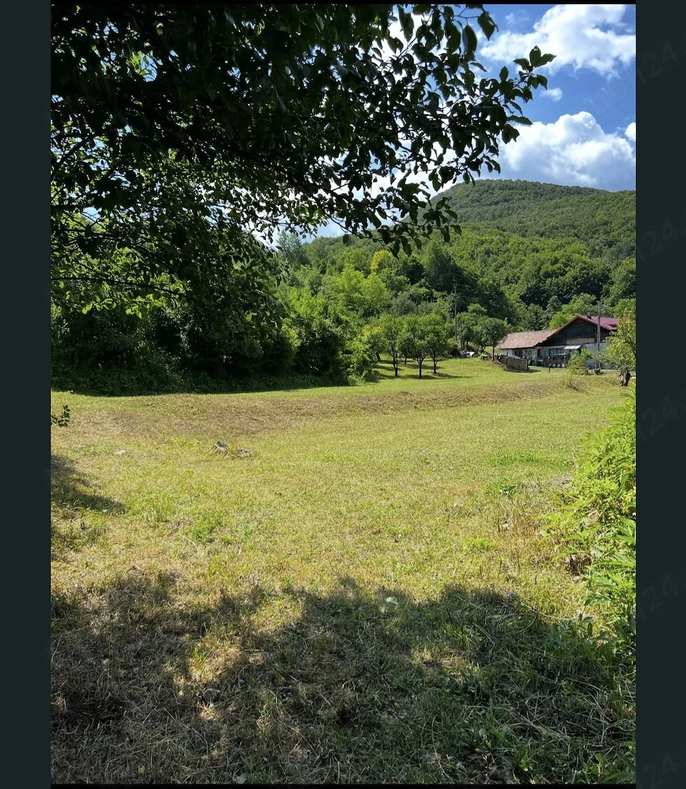 Teren extravilan + intravilan