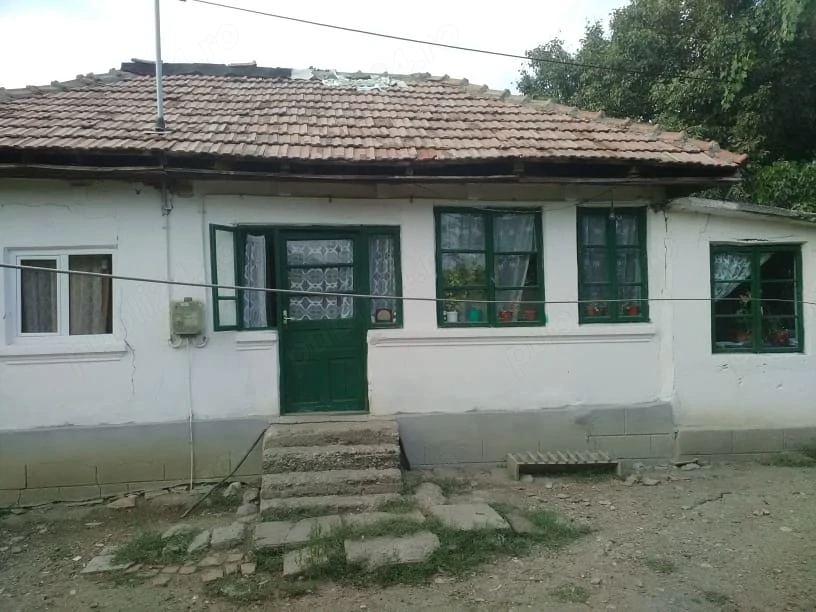 Vand casa la tara
