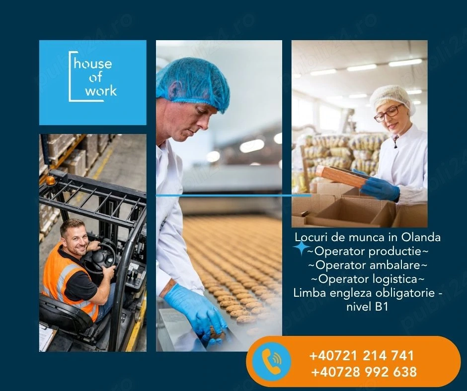 JOB OLANDA: Fabrica de Biscuiți și Dulciuri! - logistica, ambalare, productie