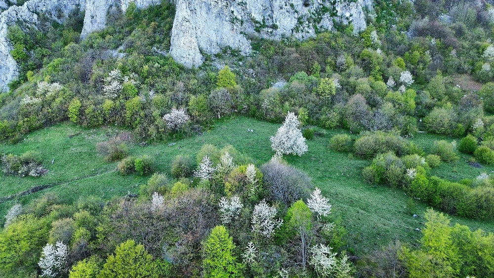 Teren de vânzare 