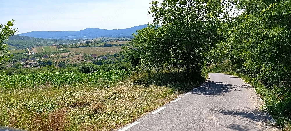Teren de vanzare Aghires Zalau Salaj