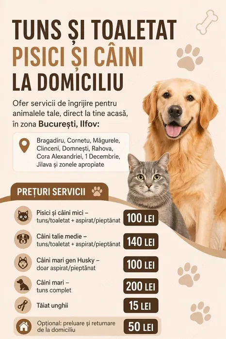 Tuns și toaletat pisici și câini la domiciliu, glanta, taiat gherute. Tuns animale