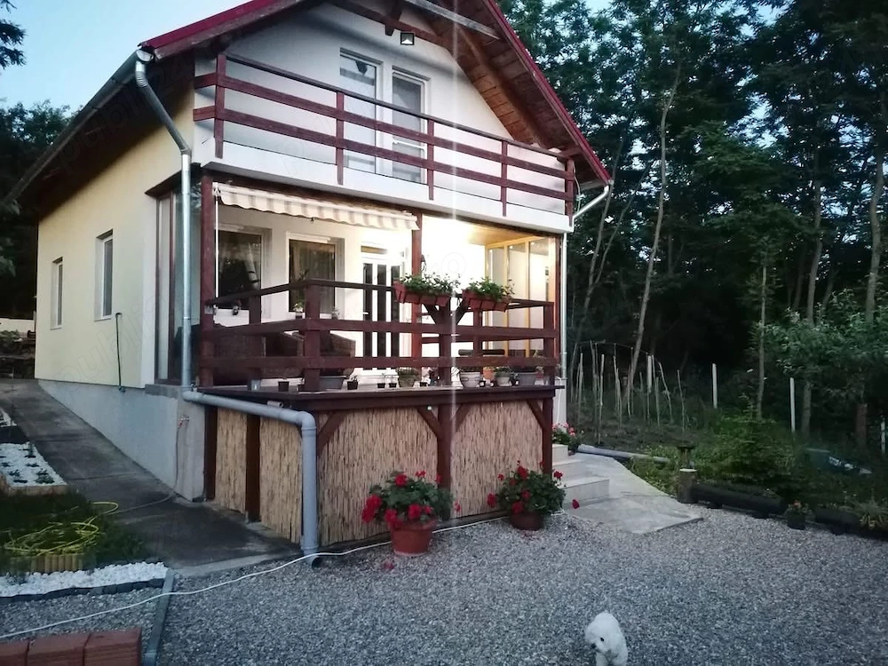 Casă 4 camere, P+M, 1200 MP teren intravilan, Săldăbagiu de Munte.